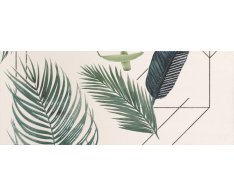 Ape Arts Aka II White 20x50