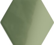 Mozaika Appiani Eden Lichene 30x30 Hexagon Luc. - zelená