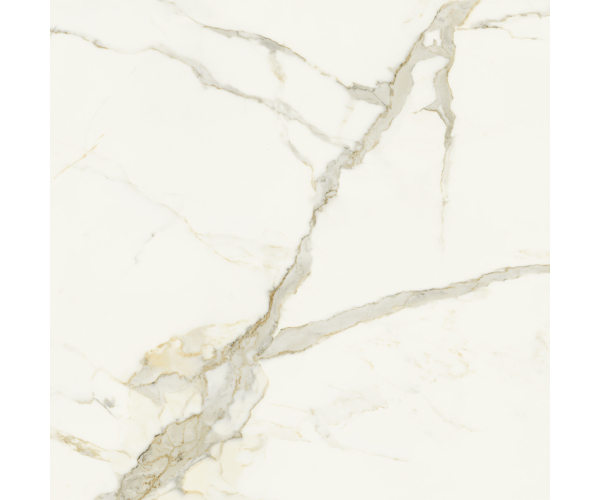 Dlažba jako mramor Marca Corona Scultorea Calacatta Oro Fino 120x120 Velvet Rett. - bílá