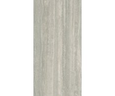 Caesar Iconica Silver Verso 60x120 Aextra20 (tl.20mm) Rett.