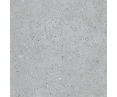 Pastorelli Biophilic BI Grey 60x60 Rett.