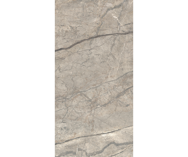 Dlažba jako mramor Caesar Anima Futura Amazing Silver 60x120 Luc. Rett. - šedá