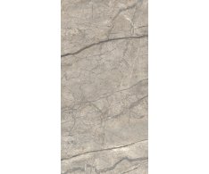Caesar Anima Futura Amazing Silver 60x120 Luc. Rett.