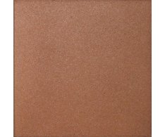 Gres Aragón Esmaltado Classic Pisa 25x25