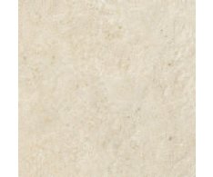 La Fenice Calcarea Beige 60x60 Rett.
