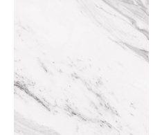 Codicer Carrara 25x25