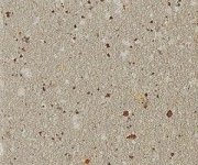 Dlažba Cir Forever Color Beige Pepper 6x25 Matt. - béžová