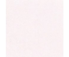 Gardenia Ariana La Geoteca Limestone 120x120 Nat. Rett.