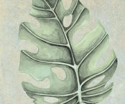Proměnlivá dekorativní dlažba Nusa Botanic Jade 25x25 (Codicer)