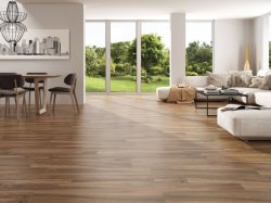 Codicer Canaima Brown