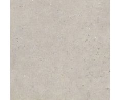 Pastorelli Biophilic BI Greige 120x120 Rett.