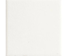 Ape Genuine Diamond 10X10