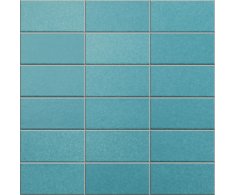 Appiani Anthologhia Glauca 30x30 (5x10)