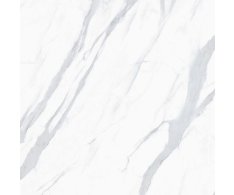 Sant Agostino Themar Statuario Venato 120x120