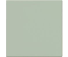 CE.SI I Colori Edera 10x10 Matt.