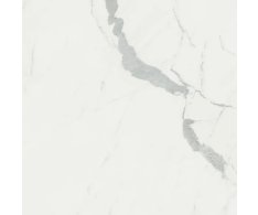 Caesar Anima Statuario Venato 60x60 Matt. Rett.