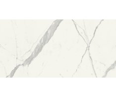 Marca Corona Scultorea Statuario Vena Argento 60x120 Luc. Rett.
