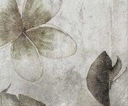 Retro dlažba Colorker Amazonia ZYX Tropic Grey Decoro 13,8x13,8 MIX - šedá