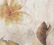 Retro dlažba Colorker Amazonia ZYX Tropic Cotto Decoro 13,8x13,8 MIX