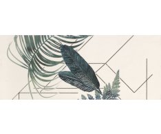 Ape Arts Aka I White 20x50