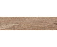 Codicer Amazon Noce 22x90