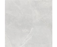 Alaplana Dalkey Gris 100x100 Satinado Rett.