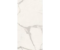 Caesar Anima Futura Majestic White Sign 60x120 Matt. Rett.
