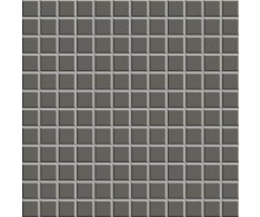 Appiani Open Space Ematite 30x30 (2,5x2,5) Matt.