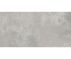 La Fenice X-metal Argento 30x60 Matt. Rett.