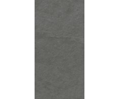 Caesar SLAB2 Aextra20 Iron 45x90 Rett. (tl. 20mm)