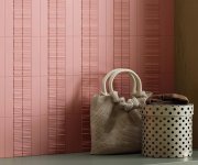 Elios Dust Blush gloss 5x20 obr.3