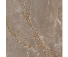 La Fenice Genesis Taupe 60x60 Rett.