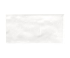 Tonalite Nature Milk 10x20
