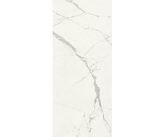 Marca Corona Scultorea Statuario Vena Argento 120x278 Luc. Rett.