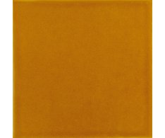 Equipe Evolution Amber 15x15