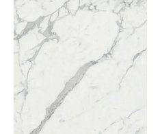 Coem Wide Gress 260 Marmi Effect Statuario 120x120 Luc. Rett.