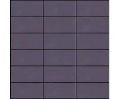 Appiani Seta Prugna 30x30 (5x10) Matt.