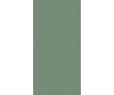 LOVE Genesis Green Matt 30x60 Ret.