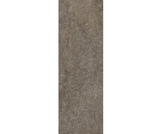 Caesar Shapes of Italy Lavis 20x60 Matt. Rett.