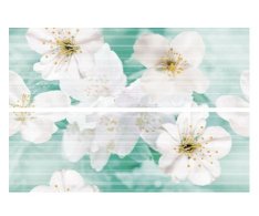 Brennero Bloomy Jasmine 25x75