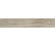 Alaplana Lakeland Taupe 15X90 Matt.
