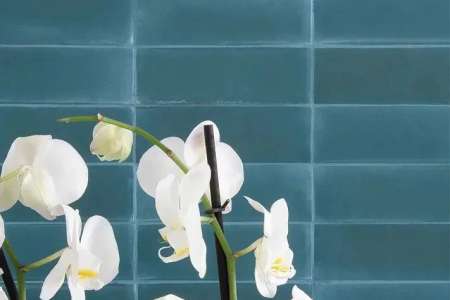 Tonalite Wabisabi Teal 5x15
