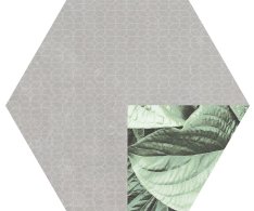 Codicer Panama Darien Hex25