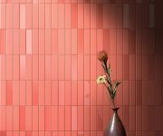 Elios Dust Terrae gloss 5x20 obr.2