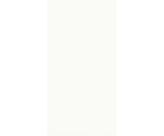 LOVE Genesis Light Blanco Brilho 30x60 Ret.