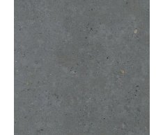 Pastorelli Biophilic BI Dark Grey 80x80 Rett.