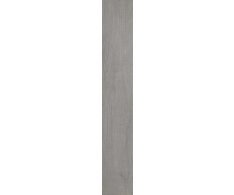 Serenissima Newport 2.0 New Ash Rett. 20x120