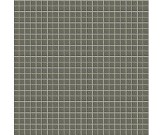 Appiani Open Space Ramina 30x30 (1,2x1,2) Matt.