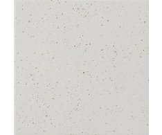 Cir Forever Color White Pepper 20x20 Matt.