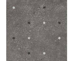 Ape Ama Fiori Graphite 60x60 Matt. Rett.